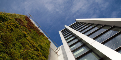 Living wall at Life Sciences